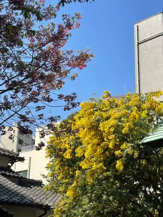 蔵前神社(東京都)