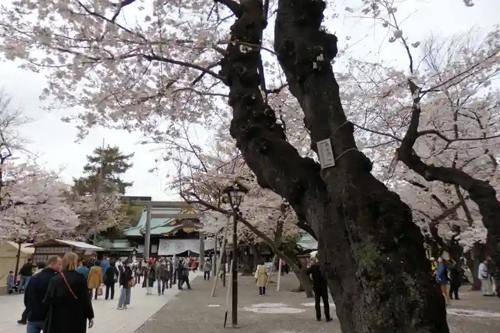 靖國神社の自然