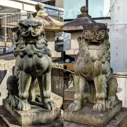 白金氷川神社の狛犬