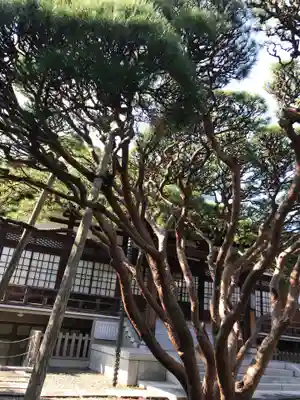 長松寺の自然