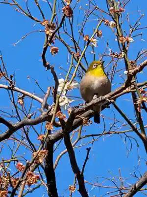 高円寺(東京都)