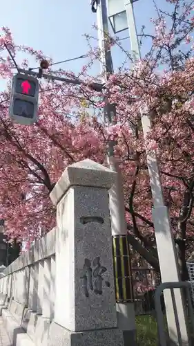 晴明神社の自然