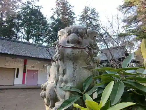 大宝八幡宮の狛犬