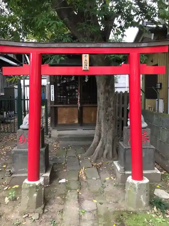 茶ノ木稲荷社の鳥居