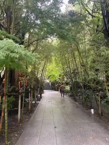 來宮神社(静岡県)