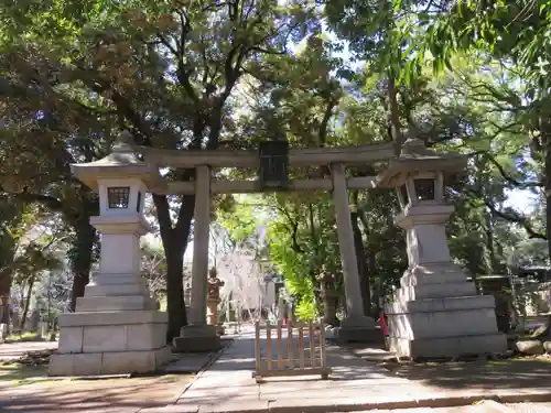 赤坂氷川神社の鳥居