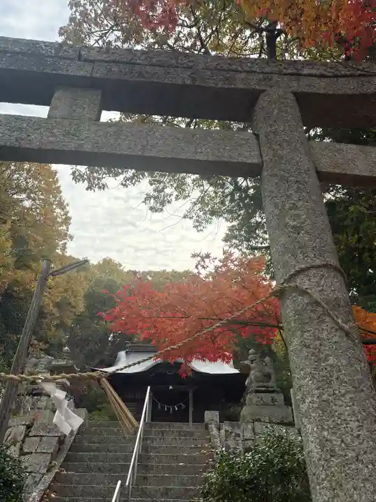 井神社(岡山県)