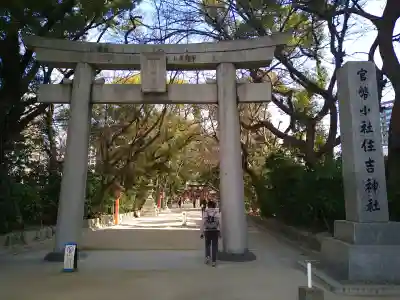 住吉神社の{uncategorized: "未分類", other: "その他", undefined: "問題あり", building: "その他建物", grave: "お墓", sacred_gate: "鳥居", guardian: "狛犬", statue: "像", buddha: "仏像", history: "歴史", nature: "自然", garden: "庭園", animal: "動物", pagoda: "塔", temizu: "手水舎", mountain_gate: "山門・神門", sanctuary: "本殿・本堂", subordinate: "末社・摂社", art: "芸術", scenery: "景色", jizo: "地蔵", ema: "絵馬", goshuin: "御朱印", omikuji: "おみくじ", items: "授与品その他", amulet: "お守り", goshuincho: "御朱印帳", eats: "食事", festival: "お祭り", votive_dance: "神楽", shichigosan: "七五三参", wedding: "結婚式", experience: "体験その他", initially: "初詣", around: "周辺", anti_infection: "感染症対策"}