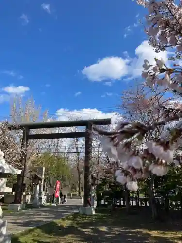 烈々布神社の鳥居