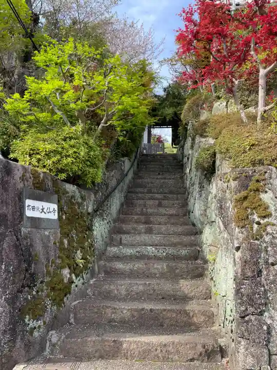 大仙寺(京都府)