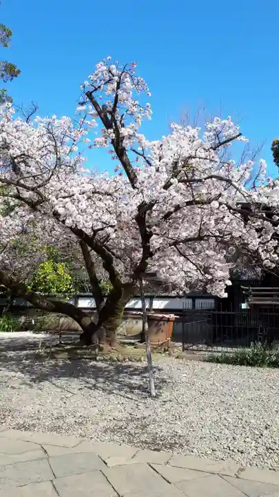 上野東照宮(東京都)