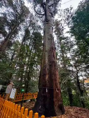 高千穂神社(宮崎県)