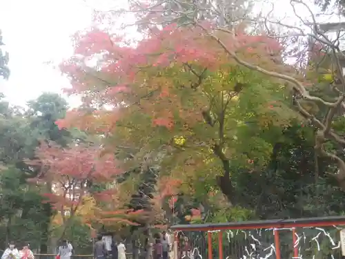 鶴岡八幡宮の庭園