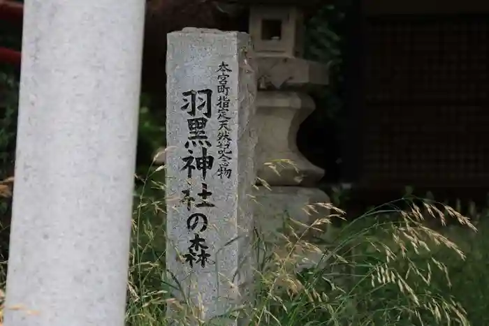 羽黒神社の建物その他