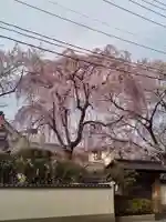 孝勝寺(宮城県)