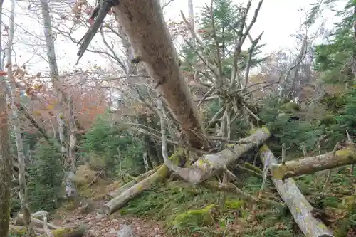 弥山神社（天河大辨財天社奥宮）の周辺