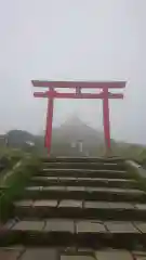 箱根元宮の鳥居