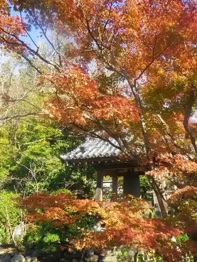 浄光明寺の自然