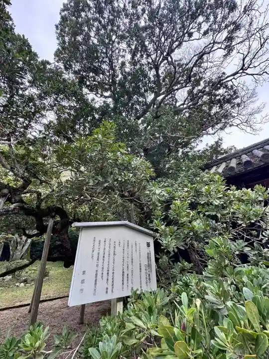 金剛王院(京都府)