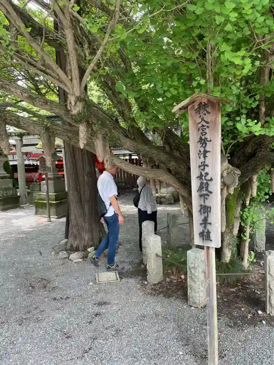 秩父神社(埼玉県)