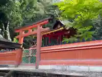 春日大社 若宮(春日若宮)(奈良県)