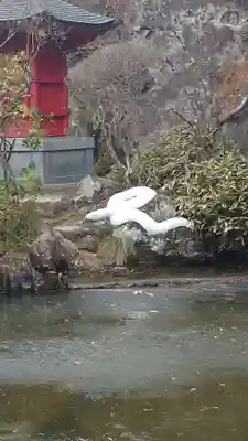 大谷寺(栃木県)