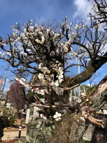 境香取神社の自然