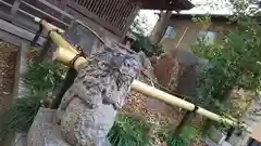 山王神社の狛犬