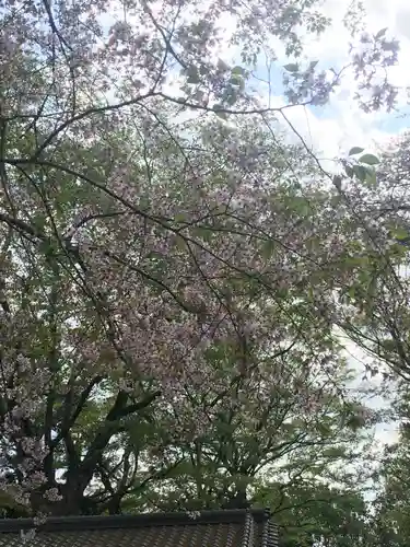 延寿院(千葉県)