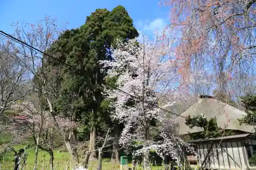 有珠善光寺の庭園