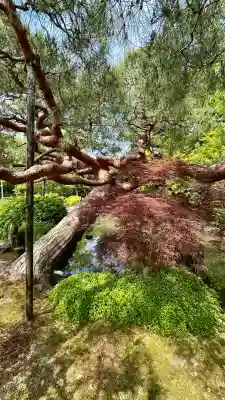 城南宮(京都府)