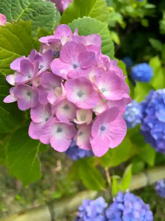 熊野那智大社(和歌山県)