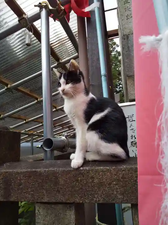明竹稲荷宮 腰神不動神社の動物
