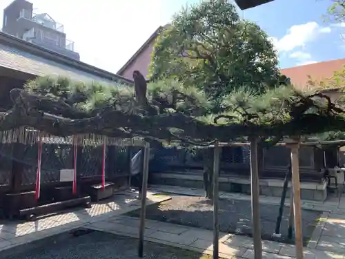 下御霊神社(京都府)
