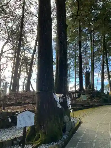 富士山東口本宮 冨士浅間神社の自然