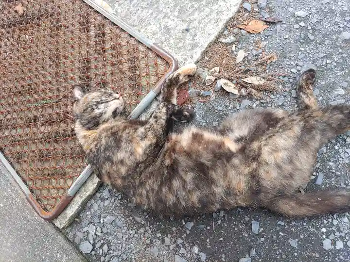 亀岡八幡宮(栃木県)