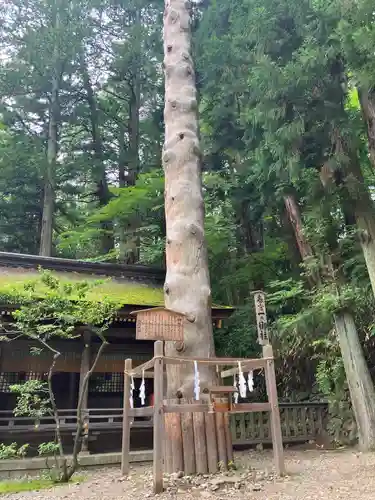 諏訪大社下社春宮(長野県)