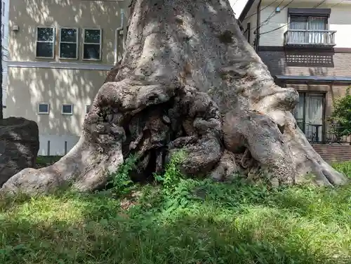 調神社(埼玉県)