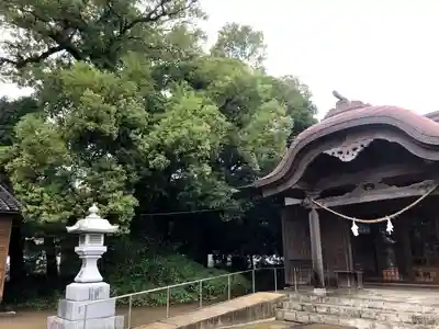 八幡神社の本殿・本堂