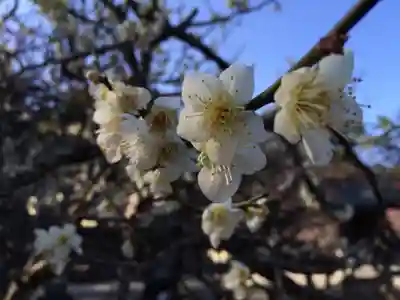 綱敷天満宮(福岡県)