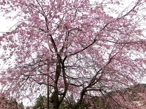 淡墨観音(岐阜県)