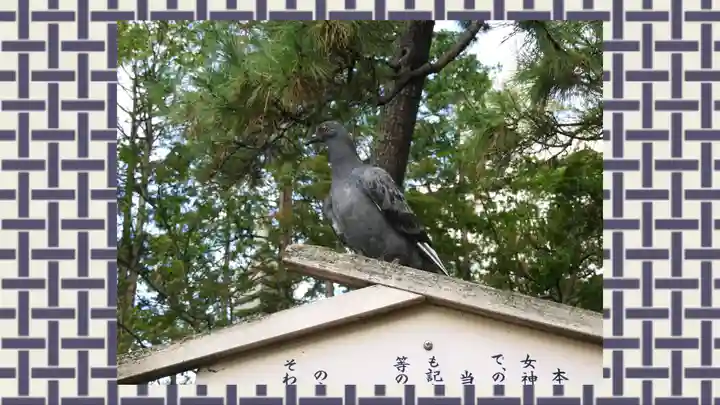 西新井大師総持寺(東京都)