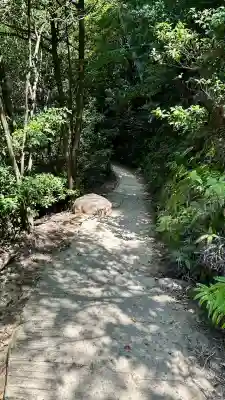 大聖院弥山本堂(広島県)
