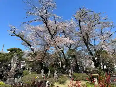明治寺の{uncategorized: "未分類", other: "その他", undefined: "問題あり", building: "その他建物", grave: "お墓", sacred_gate: "鳥居", guardian: "狛犬", statue: "像", buddha: "仏像", history: "歴史", nature: "自然", garden: "庭園", animal: "動物", pagoda: "塔", temizu: "手水舎", mountain_gate: "山門・神門", sanctuary: "本殿・本堂", subordinate: "末社・摂社", art: "芸術", scenery: "景色", jizo: "地蔵", ema: "絵馬", goshuin: "御朱印", omikuji: "おみくじ", items: "授与品その他", amulet: "お守り", goshuincho: "御朱印帳", eats: "食事", festival: "お祭り", votive_dance: "神楽", shichigosan: "七五三参", wedding: "結婚式", experience: "体験その他", initially: "初詣", around: "周辺", anti_infection: "感染症対策"}