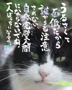 専念寺(大阪府)(2022年08月18日(木) 20時26分18秒投稿)