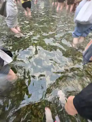 賀茂御祖神社（下鴨神社）(京都府)