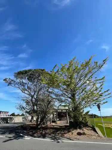 蛭子神社の自然