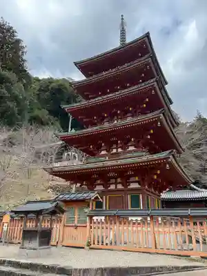 長谷寺(奈良県)