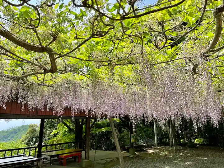 唐澤山神社(栃木県)
