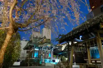 柏神社の本殿・本堂